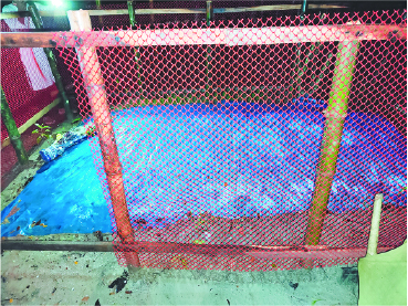 Image of এম. ডি. ইলিয়াস হোসাইন